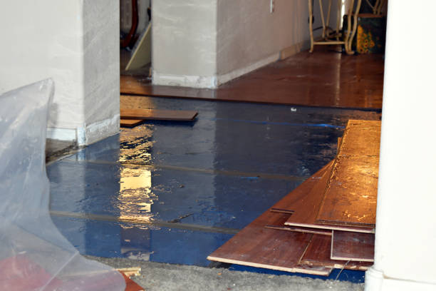 Professional Flood Cleanup technician working in Chester, WV